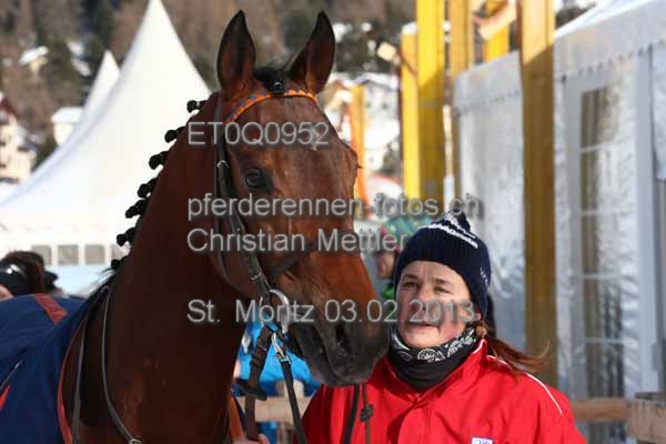 ET0Q0952 prot